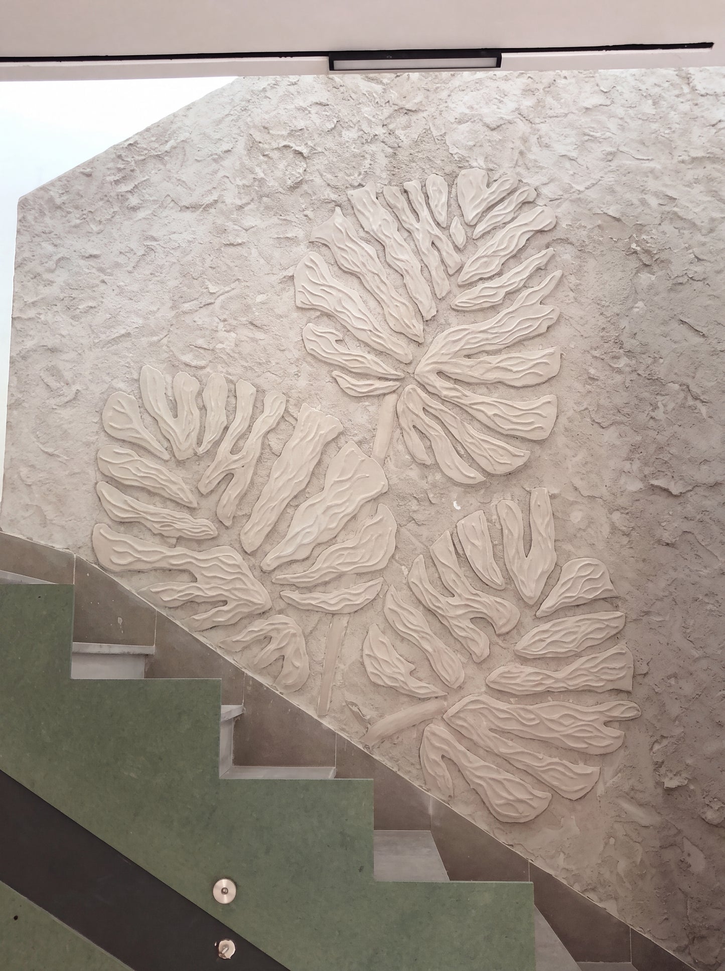 Monstera