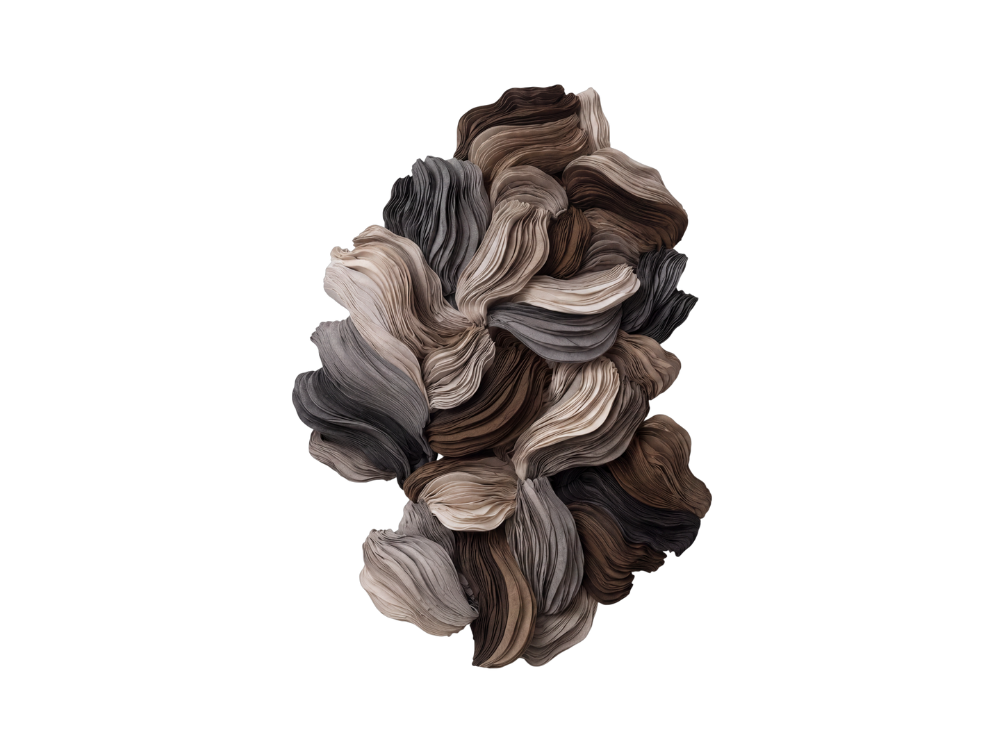 Collection Petal: Driftwood