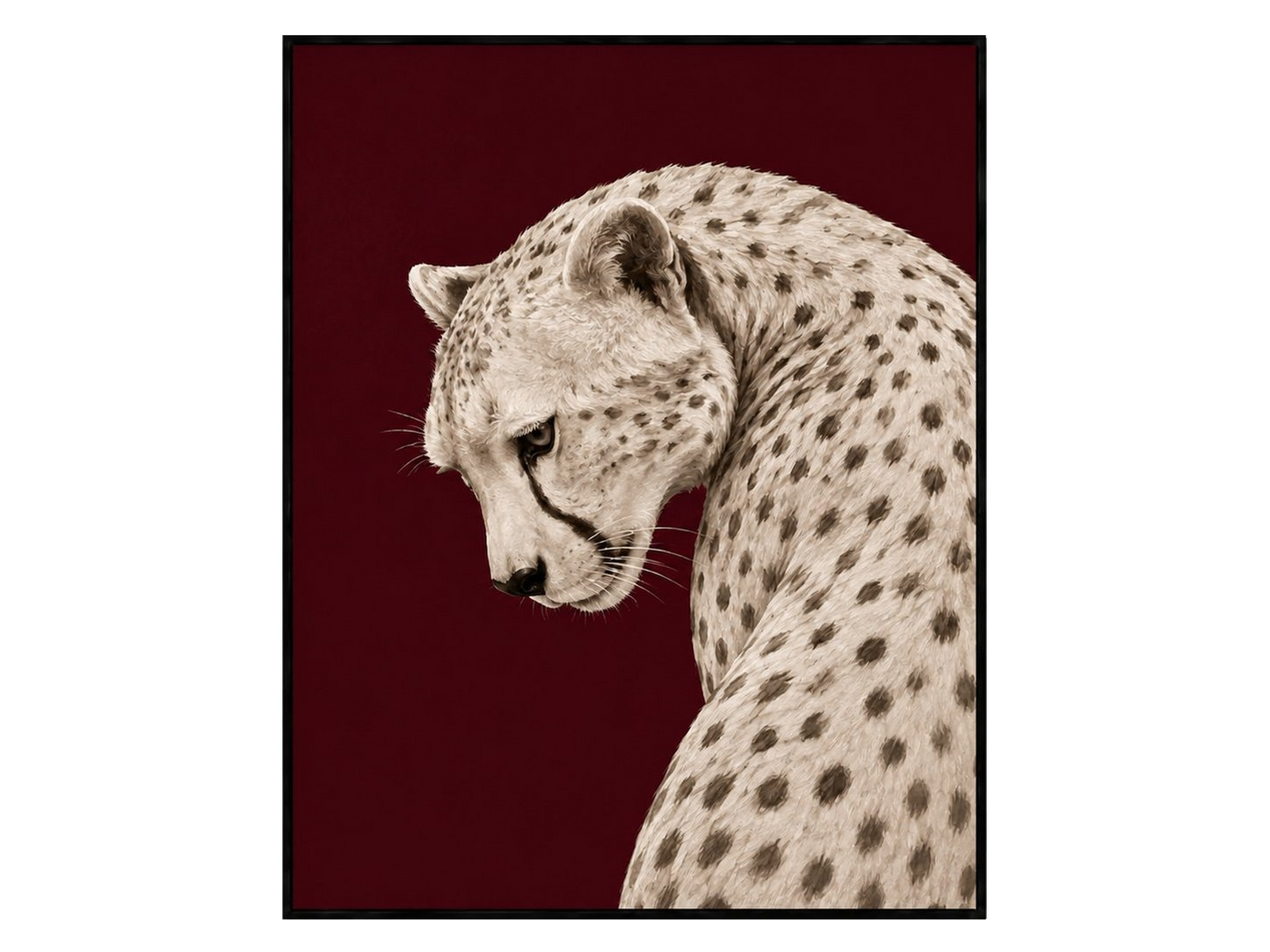 Animal Icons: White Leopard