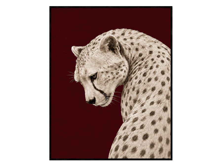 Animal Icons: White Leopard